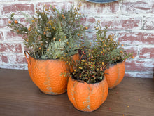 Load image into Gallery viewer, Pumpkin planters set of 3